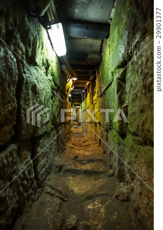 The Herodian road . The Herodian road . 29901377