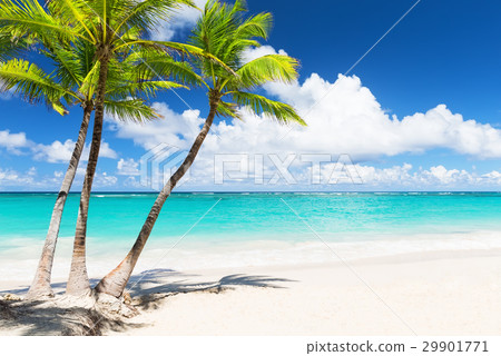 Beautiful tropical white beach Beautiful tropical white beach 29901771