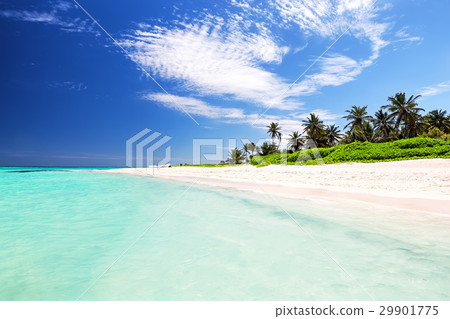 Beautiful tropical white beach Beautiful tropical white beach 29901775