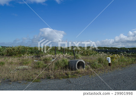 The scenery of the wilderness 29901998