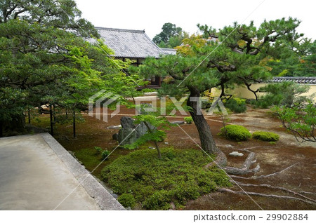 Shikaoin 29902884