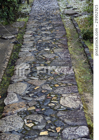 日本庭院摘要牧場地草 日本庭院摘要牧場地草 29902925