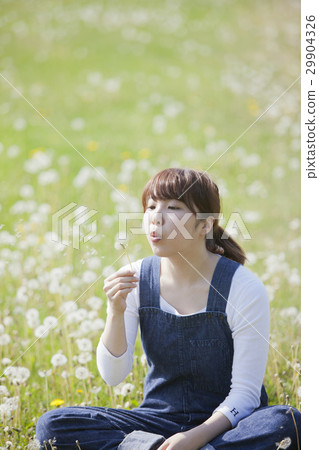 蒲公英蓬鬆的女士 蒲公英蓬鬆的女士 29904326