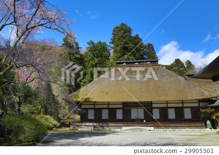 Cherry blossom view of Akiruno City "Hirokuji" 29905301