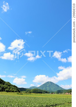 Blue sky of Hokkaido summer and Mt. Blue sky of Hokkaido summer and Mt. 29908310
