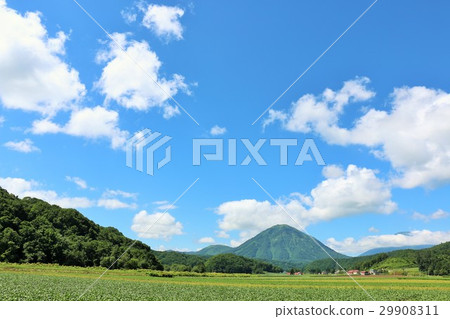Blue sky of Hokkaido summer and Mt. Blue sky of Hokkaido summer and Mt. 29908311