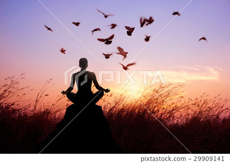 Woman meditating and flying birds on sunset nature 29909141