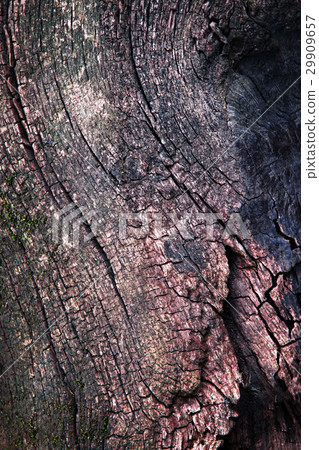 Abstract dark old wood texture Abstract dark old wood texture 29909657
