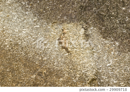 Orange stone texture Orange stone texture 29909718