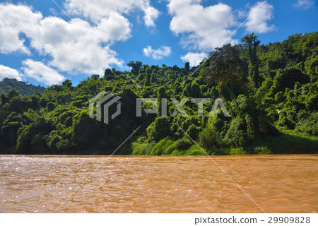 Mekong River and Tropical Rain Forest 29909828