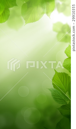 Abstract Spring Green Wallpaper Background 29910355