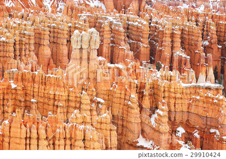 Bryce National Park in winter 29910424