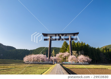 春天Oyadara 春天Oyadara 29910680