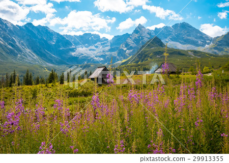 Hala Gasienicowa, Tatra mountains Zakopane Poland 29913355