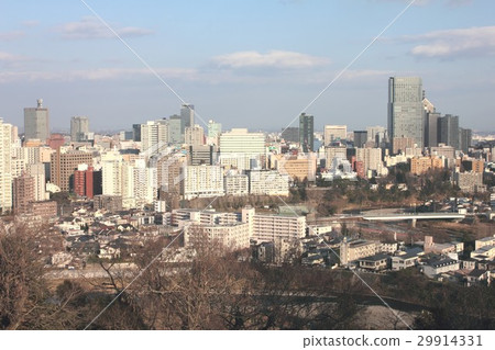 從仙台市的Aoba城堡公園視圖的看法 29914331