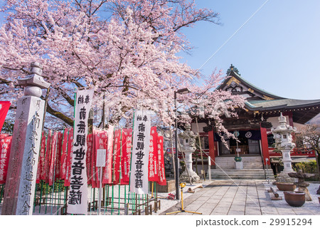 Edohigan of Hachioji City Ohkoji Temple 29915294