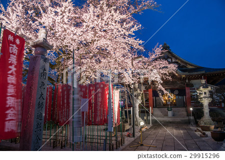 Edohigan Light Up of Daikoji Temple in Hachioji City 29915296