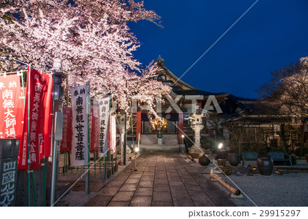 在八王子市的Daikoji寺的Edohigan點亮 29915297