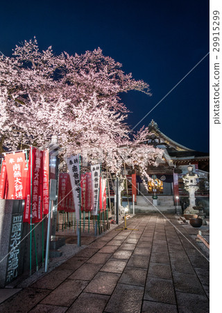 Edohigan Light Up of Daikoji Temple in Hachioji City 29915299
