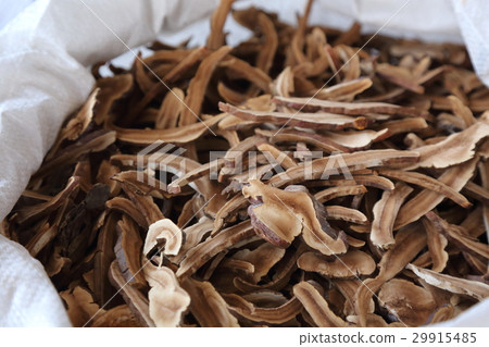 dried Lingzhi dried Lingzhi 29915485