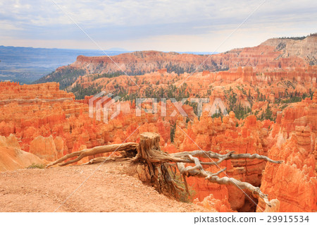 Panorama from Bryce Canyon National Park, USA Panorama from Bryce Canyon National Park, USA 29915534