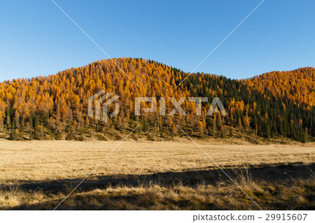 Autumn panorama from Italian Alps 29915607