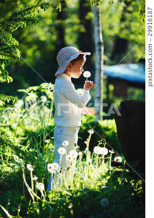 girl with dandelion in summer park girl with dandelion in summer park 29916187