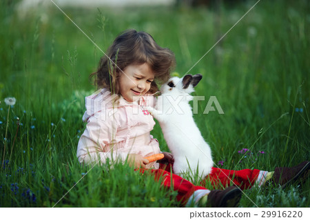 cute little girl with white rabbit cute little girl with white rabbit 29916220