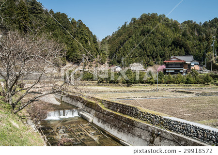 春天在山村里 29918572