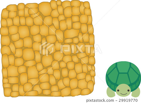 生日蛋糕和烏龜 生日蛋糕和烏龜 29919770