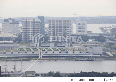 Toyosu市場正在建設中 Toyosu市場正在建設中 29919868