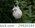Moria owl egg 01 29920144