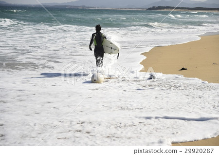 Surfing Surfing 29920287