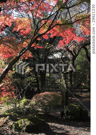 在Oyama神社在秋葉Oyama 在Oyama神社在秋葉Oyama 29921330