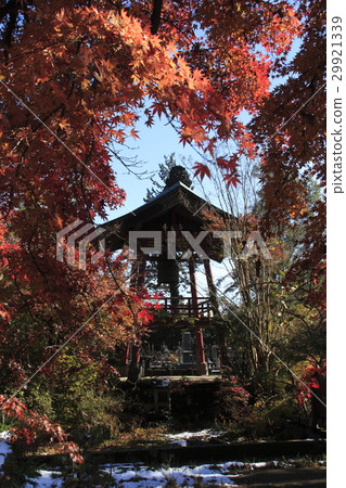 秋葉的Oyama City Temple(鐘樓) 秋葉的Oyama City Temple(鐘樓) 29921339