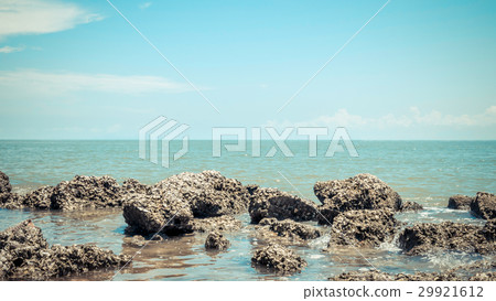 Beach and sea with blue sky and reef rock beach 29921612