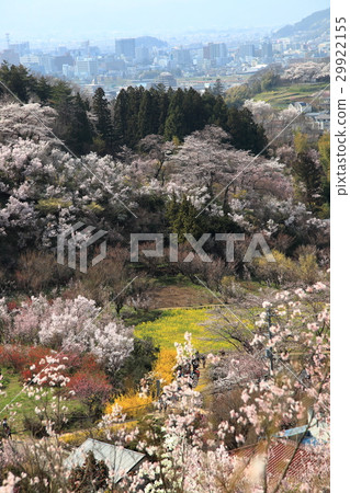 Hanamiyama Park 29922155