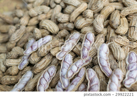 Monkey nuts at the market 29922221