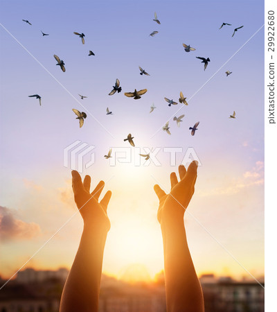 Hands praying with flying birds on sunset nature 29922680