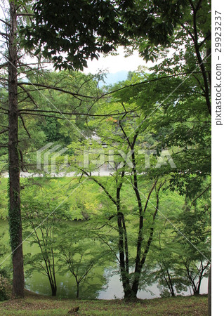 綠色森林海濱花園 29923237