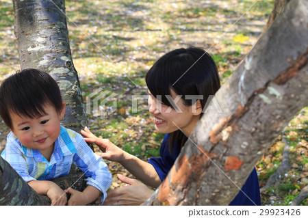 LIFESTYLE Parents playing with cherry trees 29923426