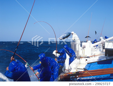 p魚單人釣魚太平洋 p魚單人釣魚太平洋 29923727