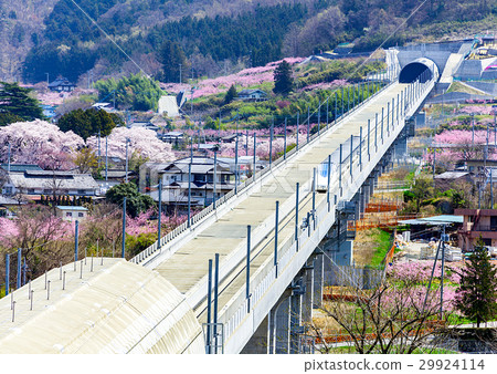 Linear view hill, Linear, Yamanashi experimental line, Peach blossom Linear view hill, Linear, Yamanashi experimental line, Peach blossom 29924114