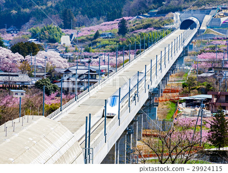 Linear view hill, Linear, Yamanashi experimental line, Peach blossom 29924115