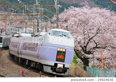 E351 series express Super Azusa running Katsunuma Juroku cherry tree and central line 29924656
