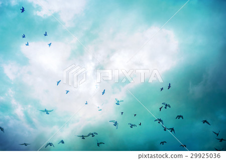 , Cloudy, cloudy, clouds, cloudy 29925036