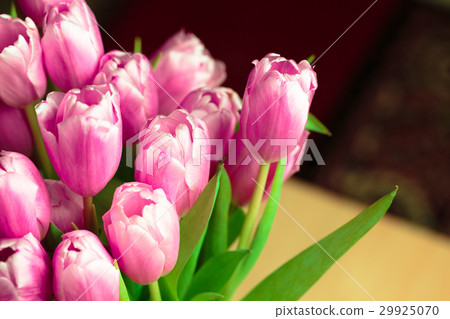 Bouquet of pink tulips close up photo. 29925070