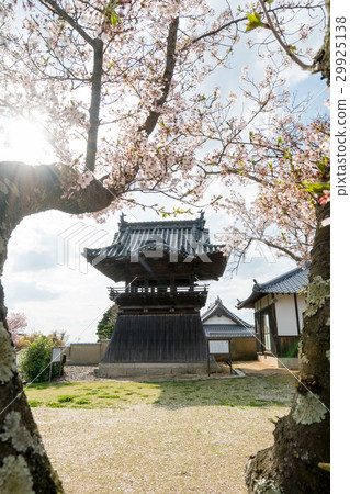 Spring landscape of the Bell and Buddhist temple in the Buddhist temple and the glow of the sun Spring landscape of the Bell and Buddhist temple in the Buddhist temple and the glow of the sun 29925138