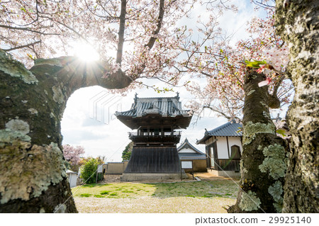 Spring landscape of the Bell and Buddhist temple in the Buddhist temple and the glow of the sun Spring landscape of the Bell and Buddhist temple in the Buddhist temple and the glow of the sun 29925140