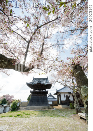 Spring landscape of the bell tower of Chofuji temple Spring landscape of the bell tower of Chofuji temple 29925142